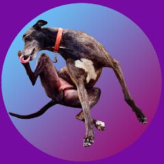 Xander's Adventures net worth