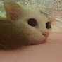 Miniature