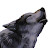 @WolfsHaven's avatar
