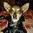 @pepusv Avatar