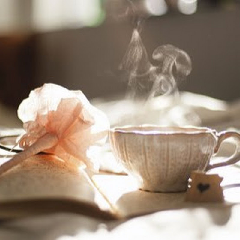 북 메디Book Meditation Logo