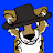 @RECoyote