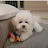 @박지형-s1h