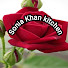 xC7QKqrE0Ro-channel-avatar-Sonia khan Kitchen