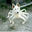 @spiderdog2650's avatar