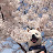 @꼬부기-x2o