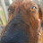 @marihansers3430 Avatar