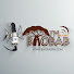 9Oof-NRUy2g-channel-avatar-BAOBAB FM KANKAN