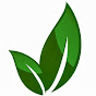 Vineyard Church DeKalb logo