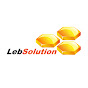 LebSolution - Partner in Process Safety logo
