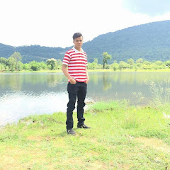 Dynon Soun
