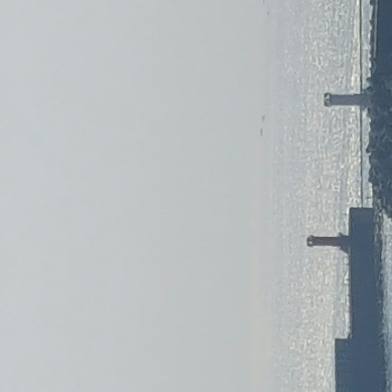 섹시꼬꼬