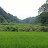 @언제나행복-k7u