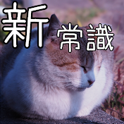 気になる新常識チャンネル