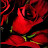 @nellikh9290