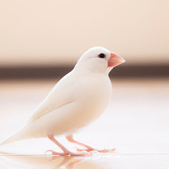 みのる