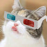 a_Rob6FRrEE-channel-avatar-39daph vods