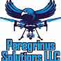 Peregrinus Solutions LLC logo