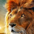 cj2Xhem0r-Q-channel-avatar-Xlions 99
