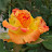 @rajadeepa1341