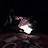 @renganathcanandan2469's avatar