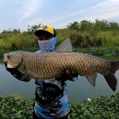 Mas Lolok lk net worth