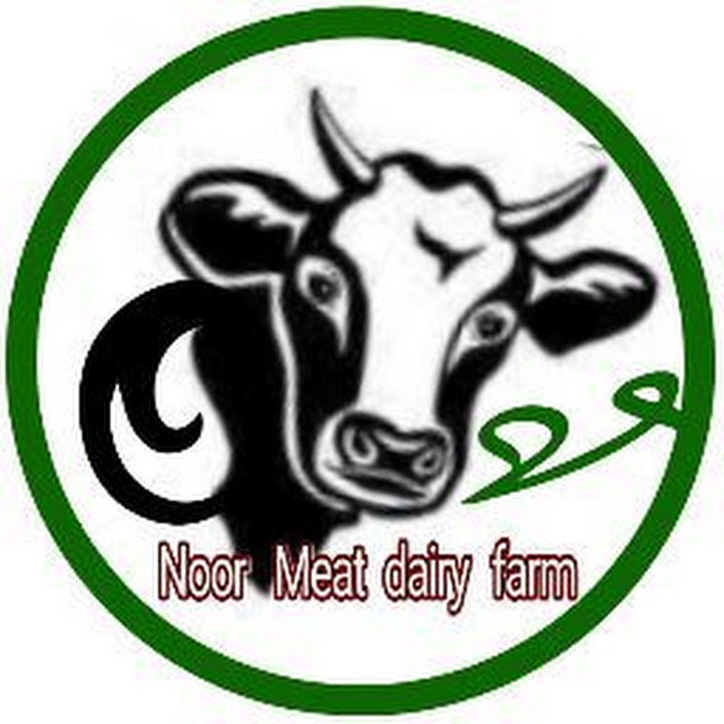 NOOR Meat Dairy Farm