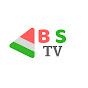 Biz Standards Media logo