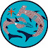 s__jLRnL2dE-channel-avatar-Anindilyakwa Media