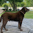 @larrytooker2359's avatar