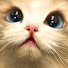 a9J4lCiUtZM-channel-avatar-MarkAlarm