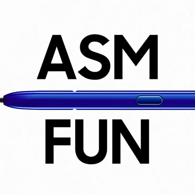 ASM Fun