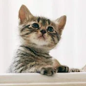 インパクトチャンネル