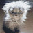 @00wtfo00 Avatar