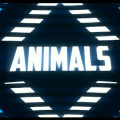 ANIMALS 93 channel logo