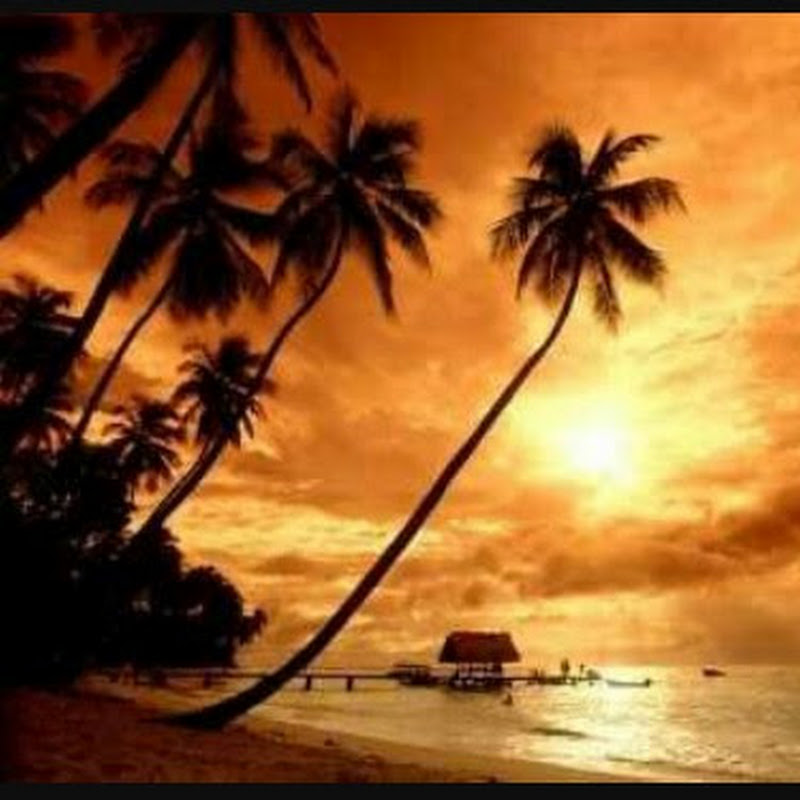 Hire Vantazia — Mystery & True Crime (Entertainment Focused) YouTube creator for sponsorships