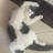 @felisasininus1784 Avatar