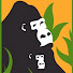 2EbKthwM3j4-channel-avatar-Dian Fossey Gorilla Fund