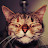 @NikiDorian's avatar