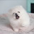 @튜니-j8h