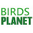 Birds Planet