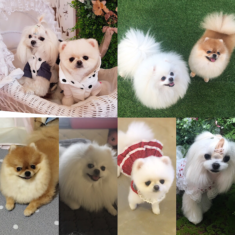 미남미녀도뭉꽁