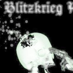 BLITZKRIEG net worth, income and estimated earnings ... - Youtubers.me