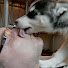 A3nDI22ba0w-channel-avatar-Anders Sjögren