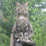 y-QhAg2jhvw-channel-avatar-Nature's Friends