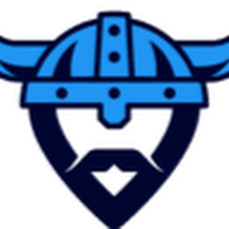 Local Viking