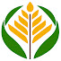 DsfbI7ewYCw-channel-avatar-Maranhão Rural