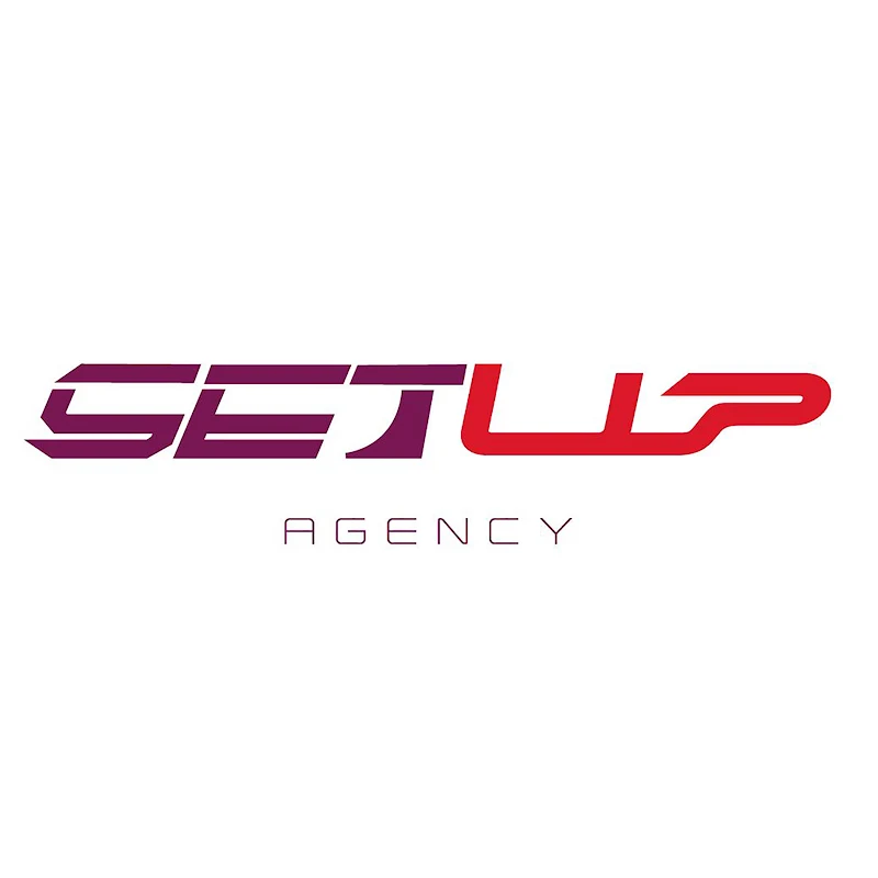 SETUP AGENCY WEB
