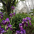 @user-ih8dq3px9m