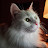 @fluffy_kitten